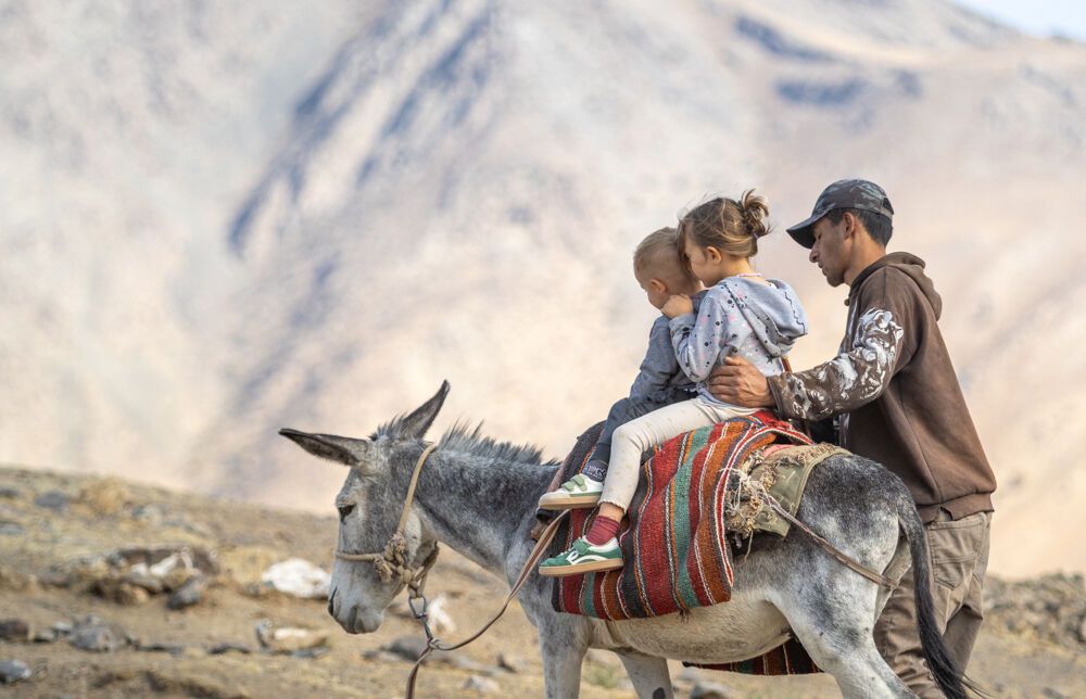 7 nasvetov za nakup letalskih kart