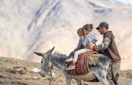 7 nasvetov za nakup letalskih kart